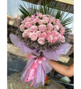 Soft Pink Rose